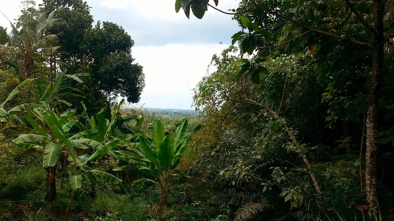 Pondok Manis Singaraja Exterior foto